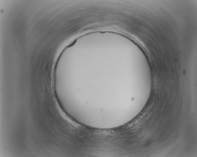 X0000060801528200512082137