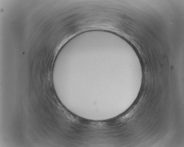 X0000060801529200512082137