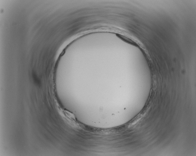 X0000060801530200512082137