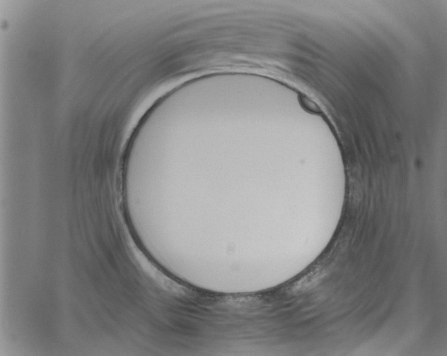 X0000060801531200512082137