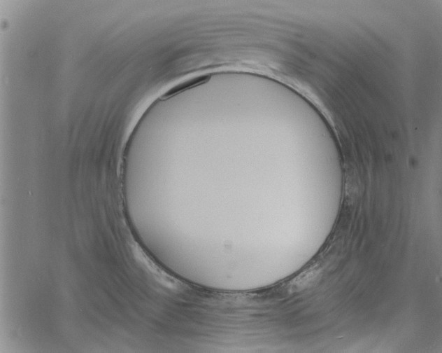 X0000060801532200512082137