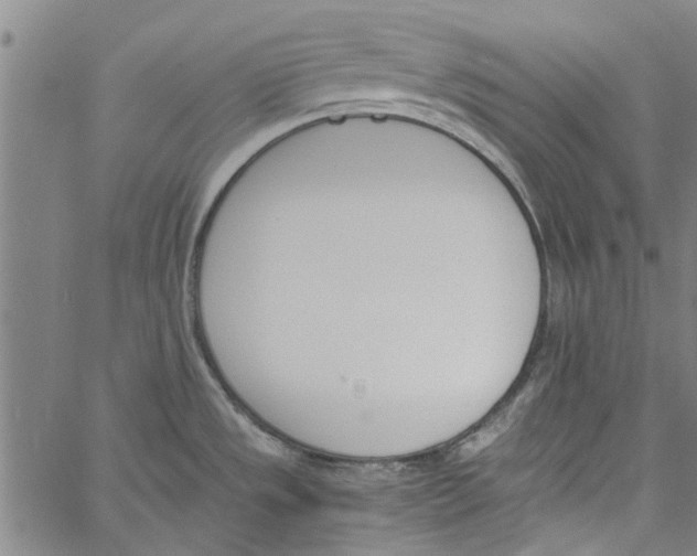 X0000060801533200512082137