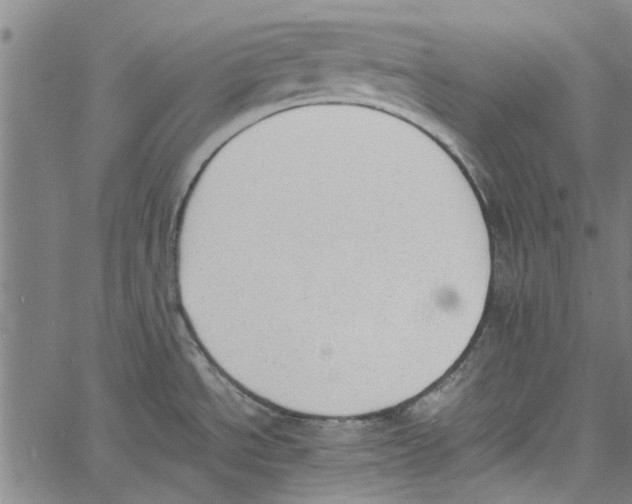 X0000060801534200512082137