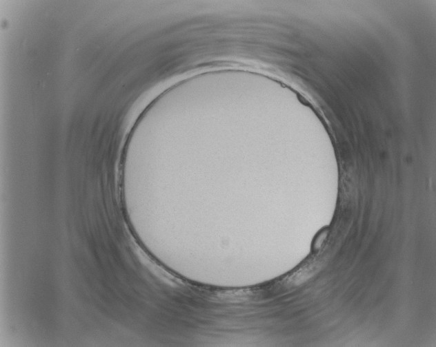 X0000060801535200512082137