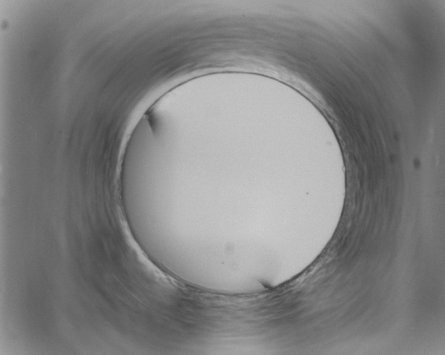 X0000060801536200512082137