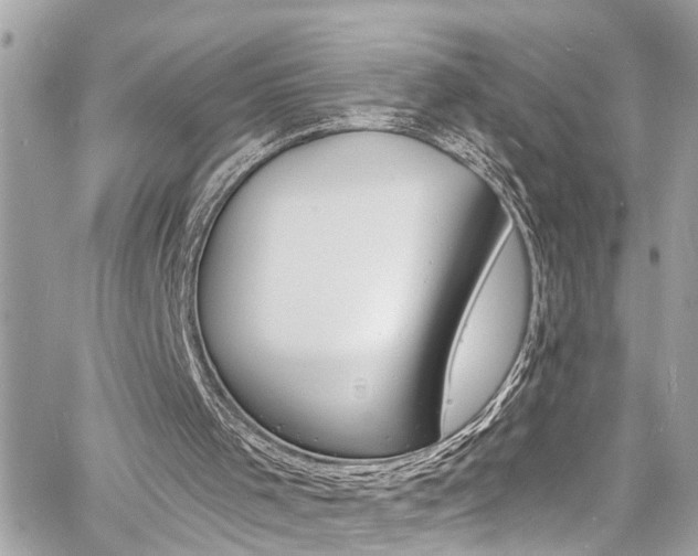 X0000060810001200511101048