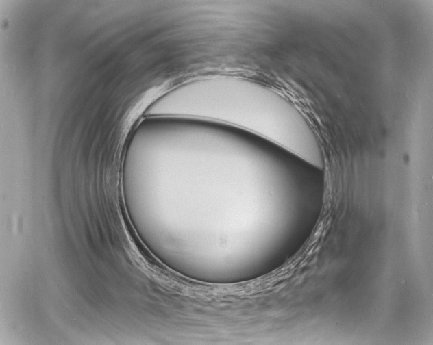 X0000060810003200511101048