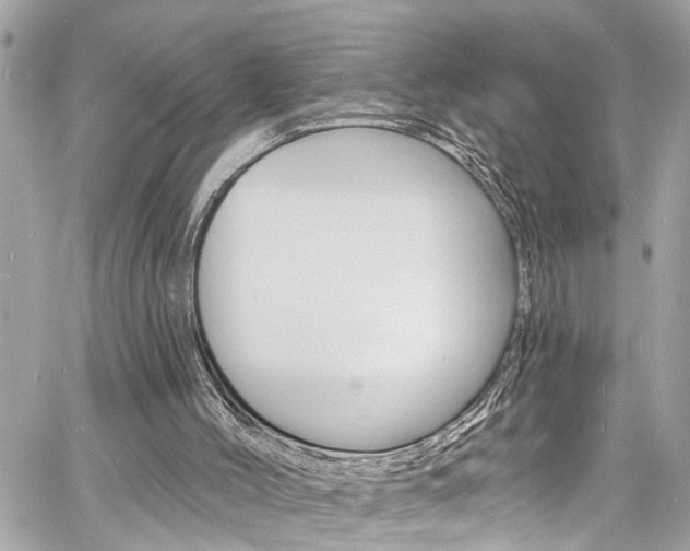 X0000060810004200511101048