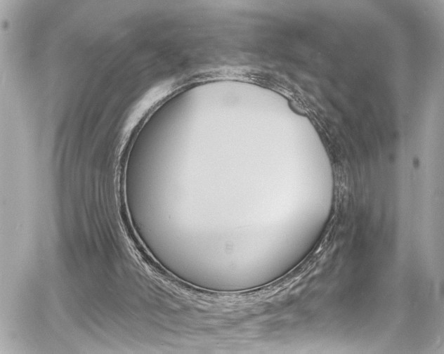 X0000060810006200511101048