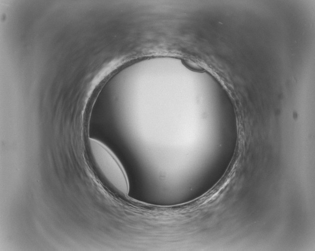 X0000060810008200511101048