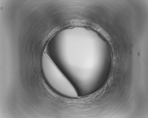 X0000060810009200511101048