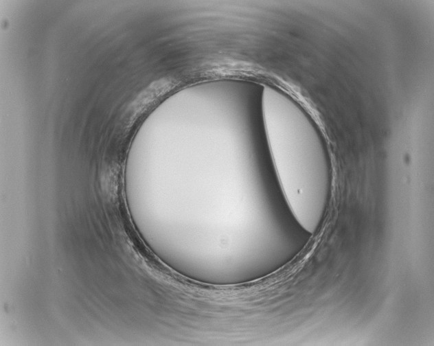 X0000060810010200511101048