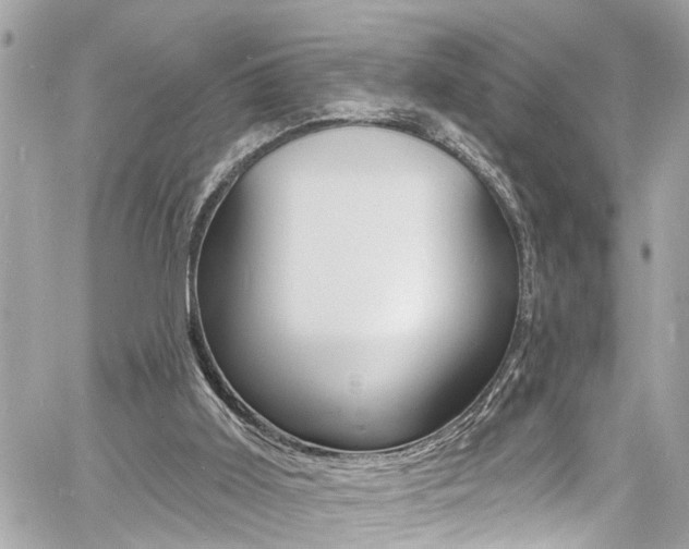 X0000060810011200511101048