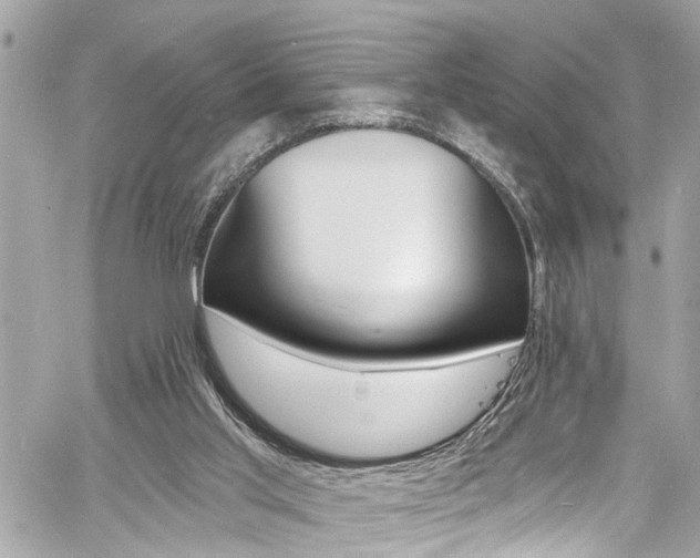 X0000060810013200511101048