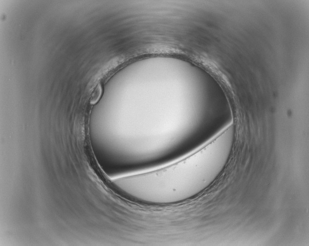 X0000060810015200511101048