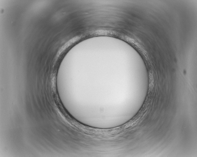 X0000060810016200511101048