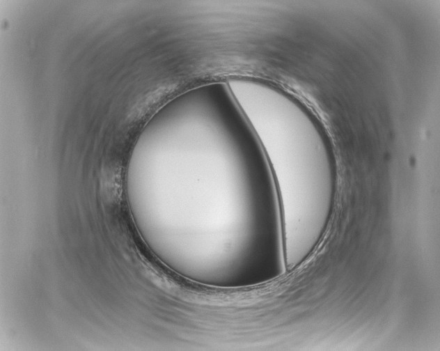 X0000060810017200511101048