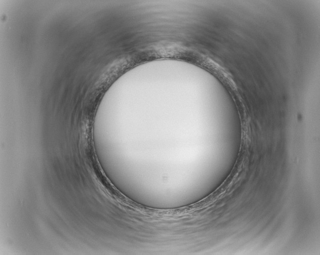 X0000060810018200511101048