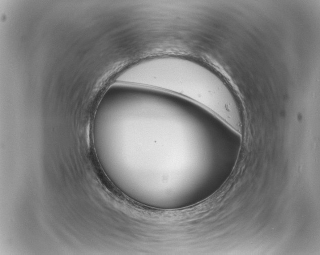 X0000060810019200511101048