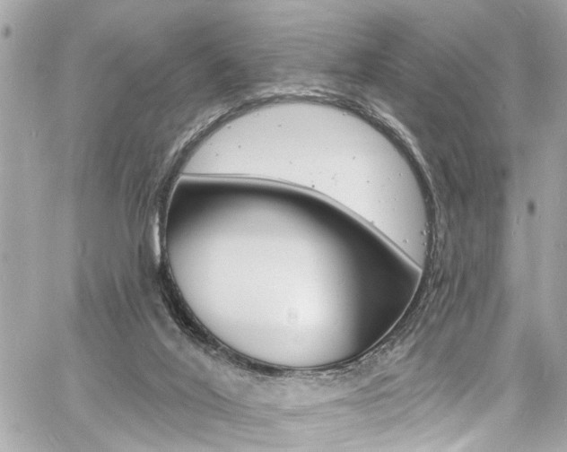 X0000060810020200511101048