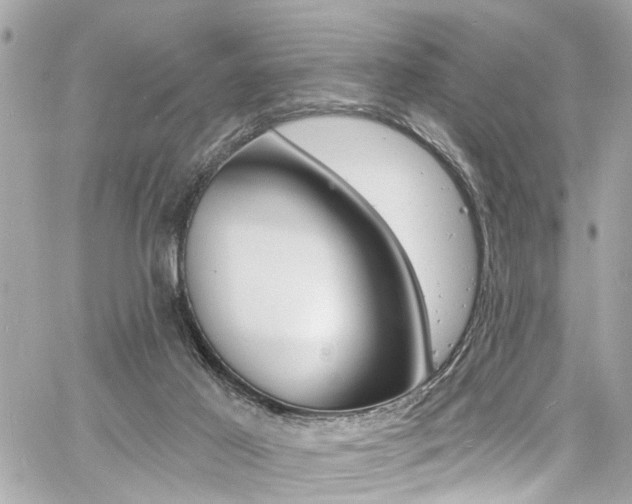 X0000060810021200511101048