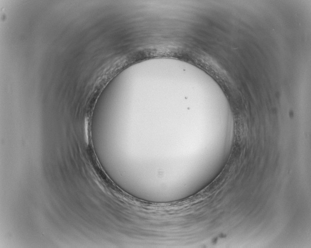 X0000060810022200511101048