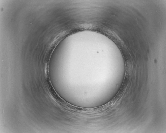 X0000060810024200511101048