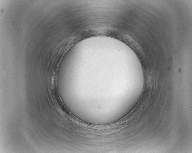 X0000060810026200511101047