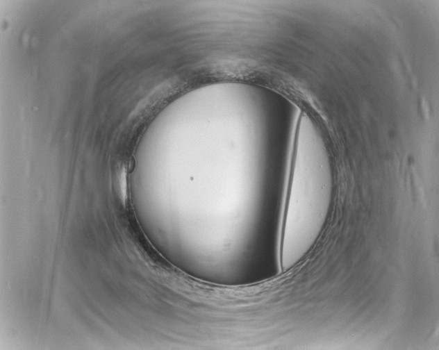 X0000060810027200511101047