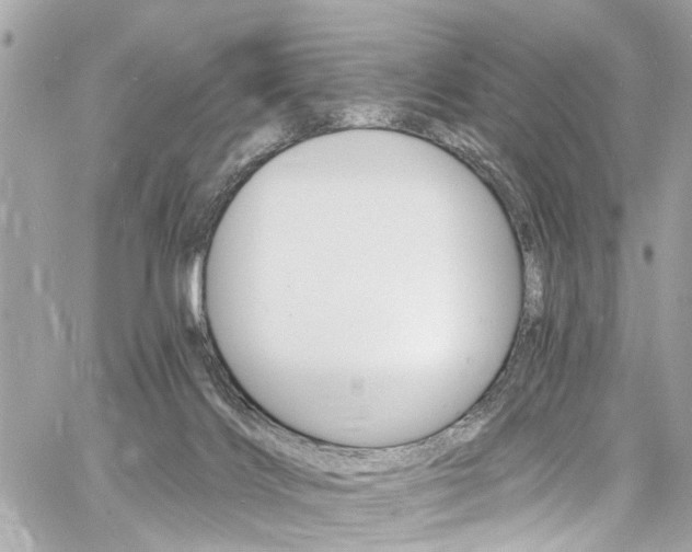 X0000060810028200511101047