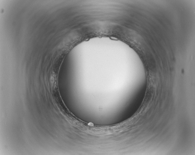 X0000060810029200511101047