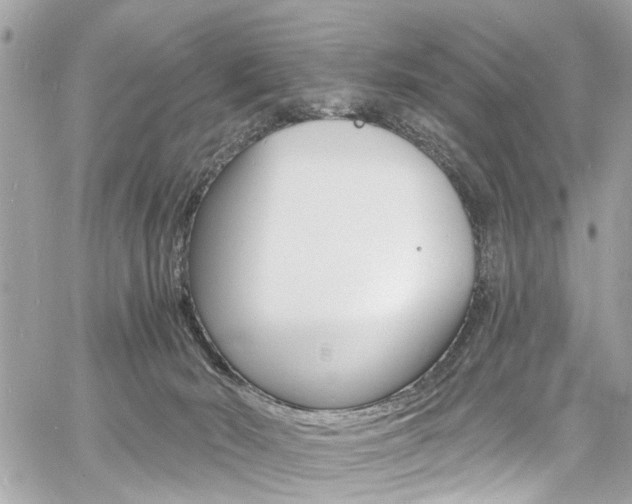 X0000060810030200511101047