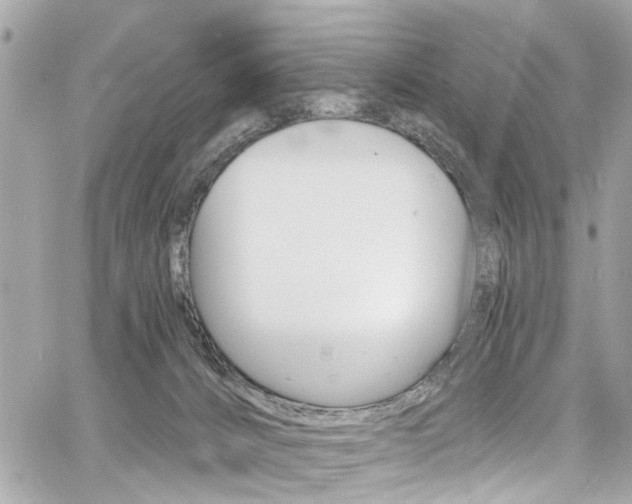 X0000060810032200511101047