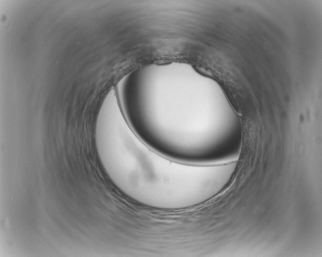 X0000060810033200511101047