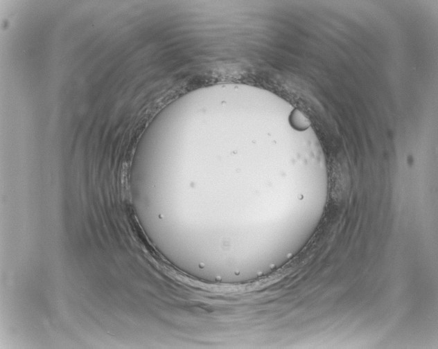 X0000060810034200511101047