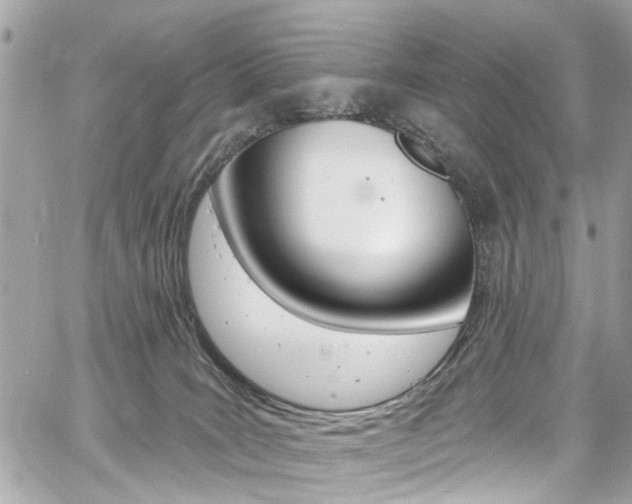 X0000060810035200511101047