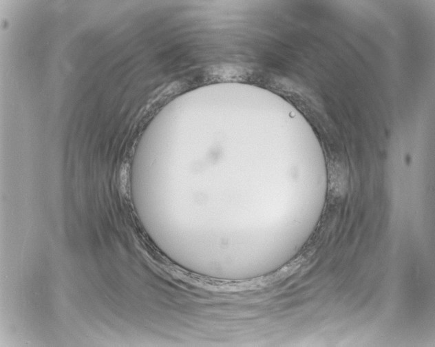 X0000060810036200511101047