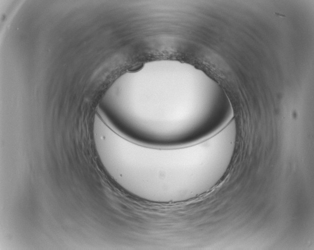 X0000060810037200511101047