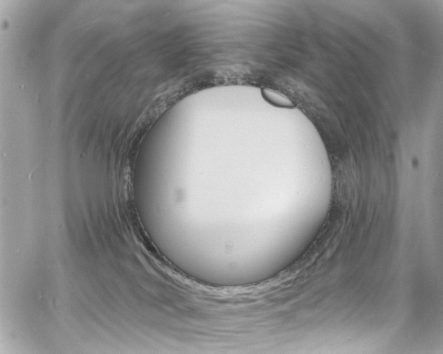 X0000060810038200511101047