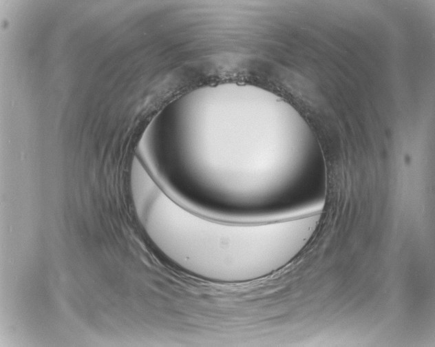 X0000060810039200511101047