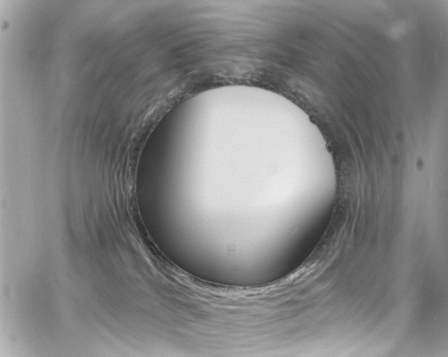 X0000060810040200511101047