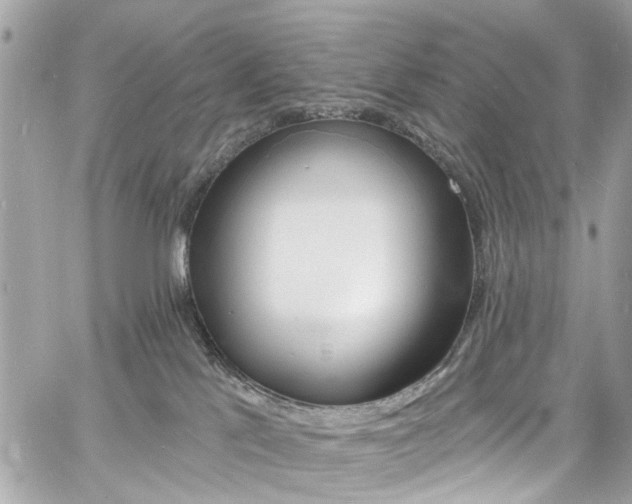 X0000060810041200511101047