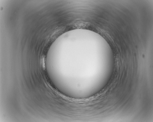 X0000060810042200511101047