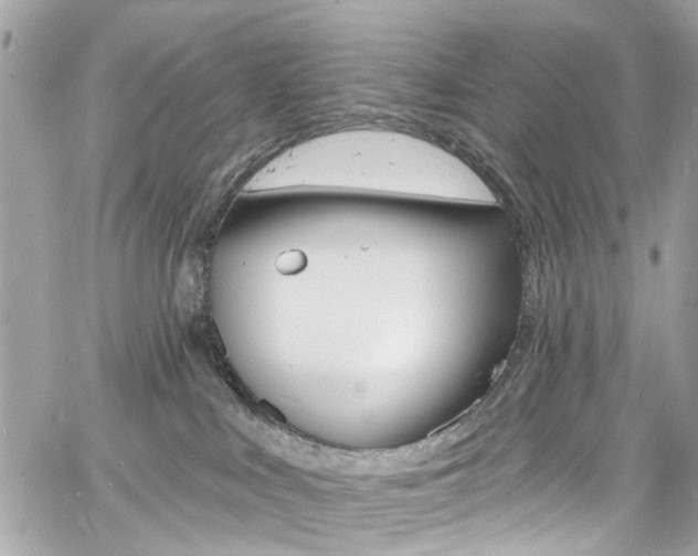 X0000060810043200511101047