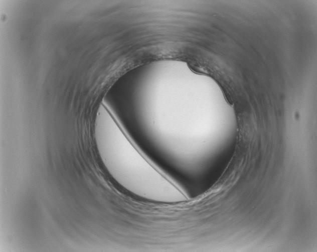 X0000060810044200511101047