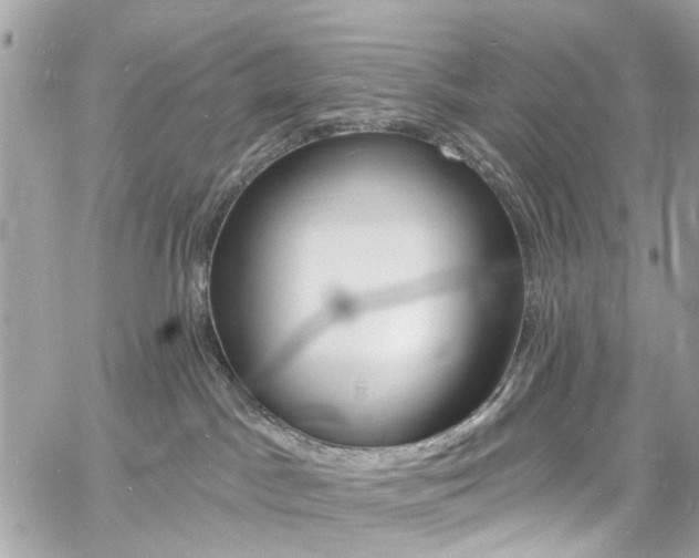 X0000060810045200511101047