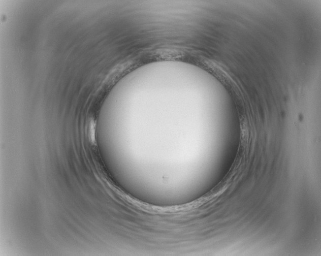 X0000060810046200511101047