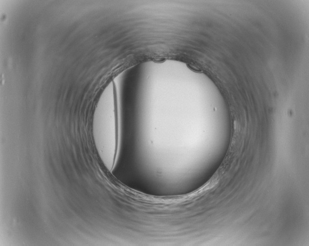 X0000060810048200511101047