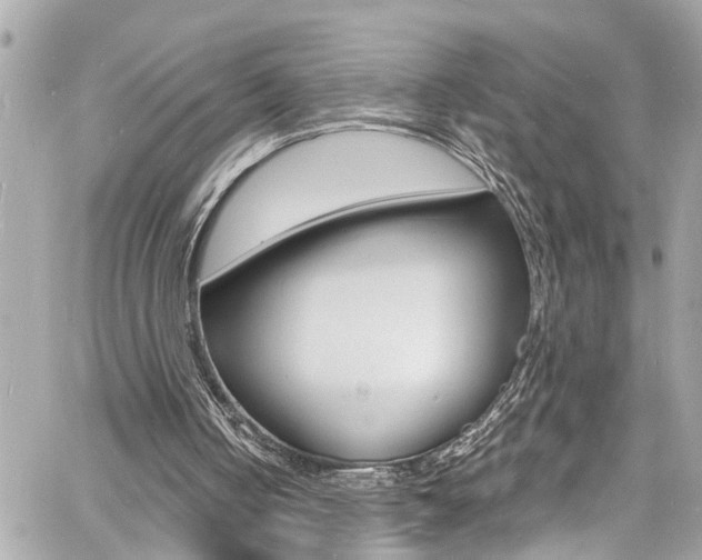 X0000060810050200511101046