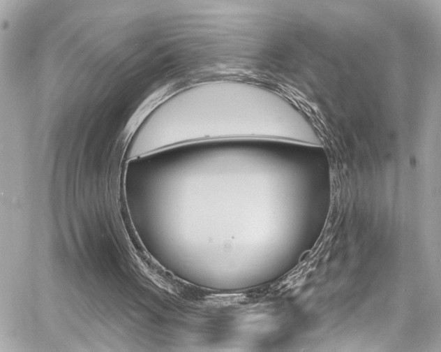 X0000060810051200511101046